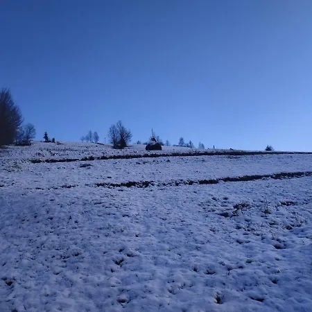 Ferienhaus на лузі *