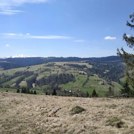 на лузі Verkhne-Studenyy