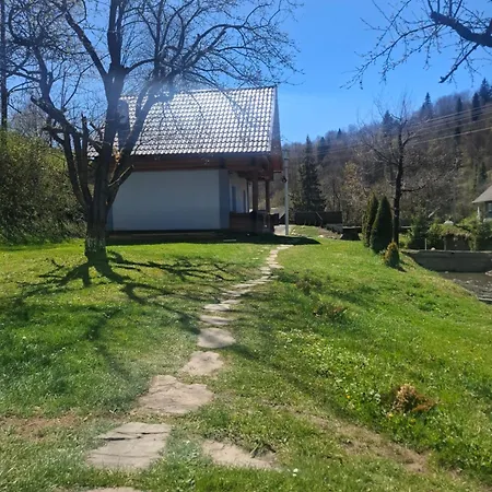 на лузі Holiday home Verkhne-Studenyy