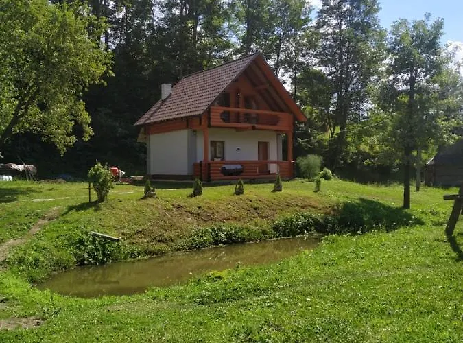 на лузі * Verkhne-Studenyy