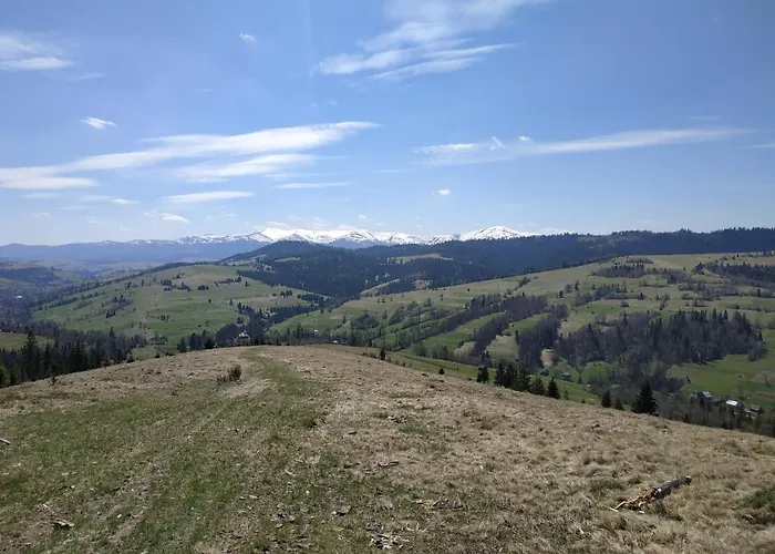 на лузі *