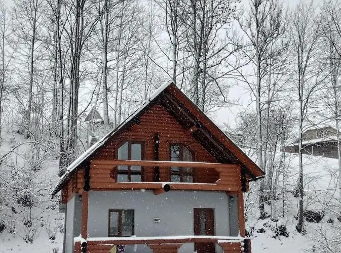 на лузі