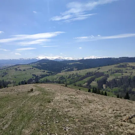 на лузі *
