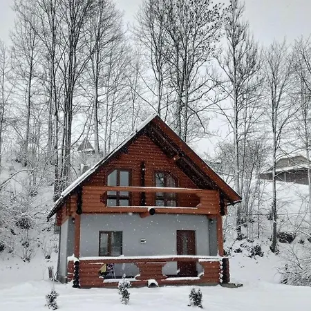 на лузі